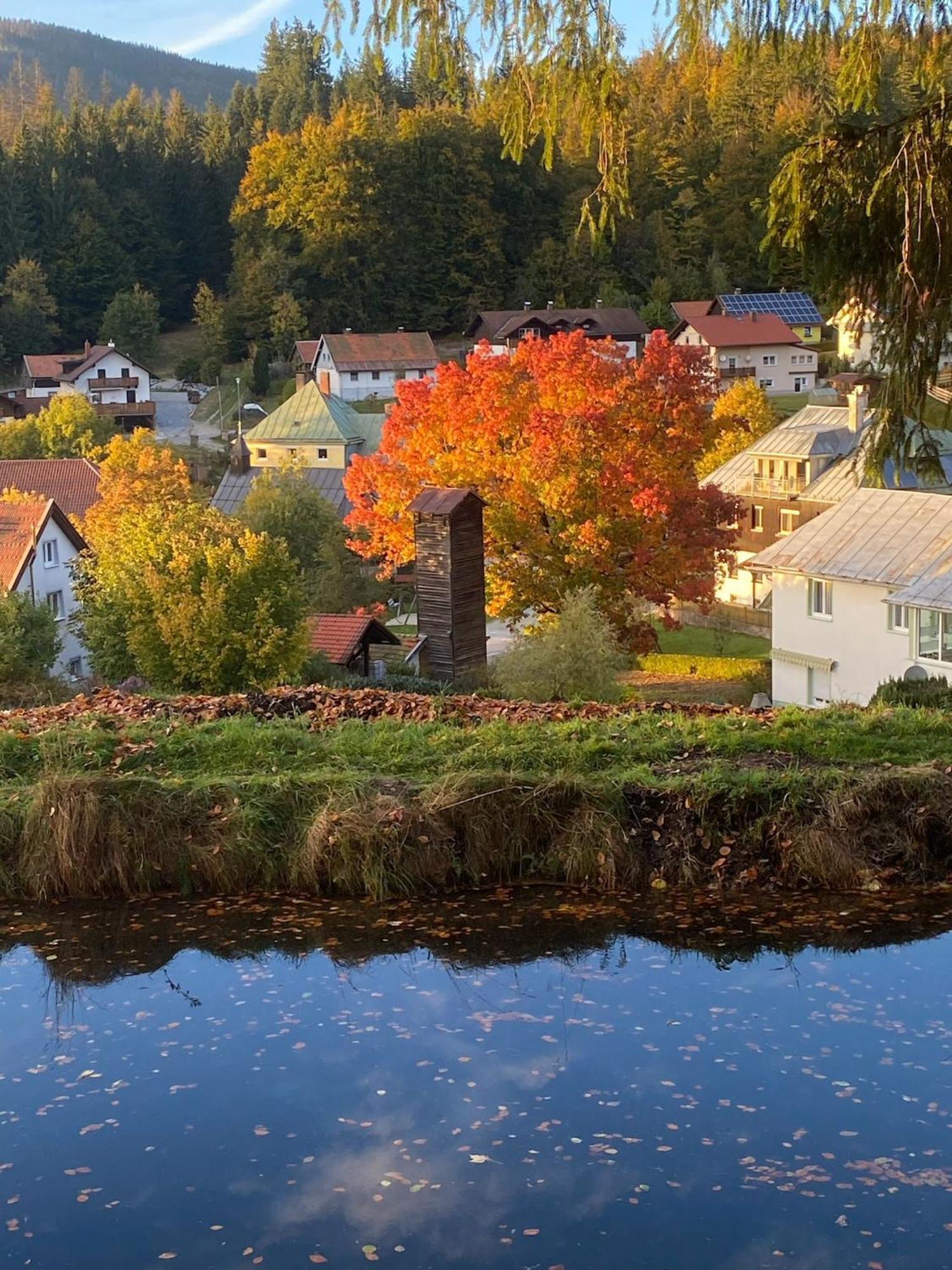 Das Alte Forsthaus Spiegelhuette Lindberg Exterior foto